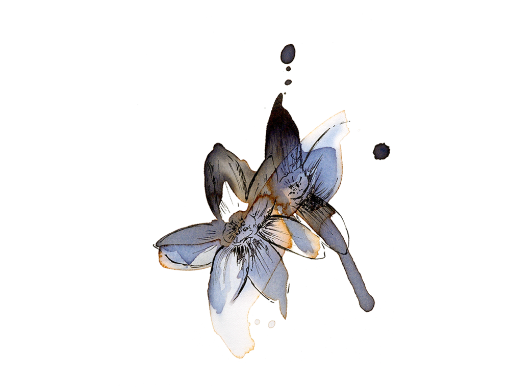 Read more about the article December ‘Narcissus’