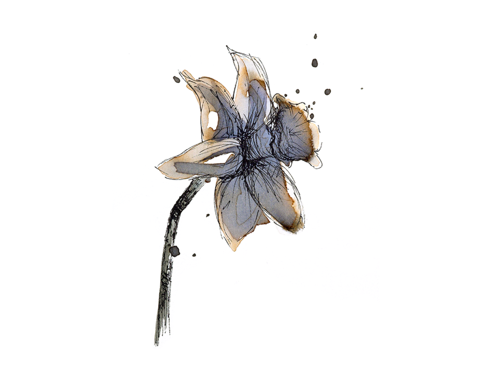 Read more about the article March ‘Daffodil’